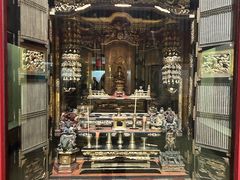 -美国自然历史博物馆