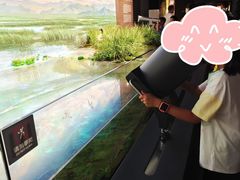 -四川大学博物馆