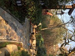 iphone_upload_pic-天目湖涵田半山温泉水乐园