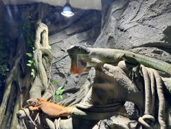 -Zoolung Zoolung动物主题公园(海信广场店)