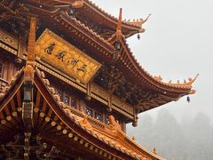 -东天目山风景区