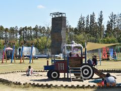 -上海长兴岛郊野公园