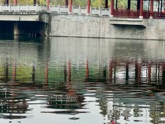 -重庆彩云湖湿地公园