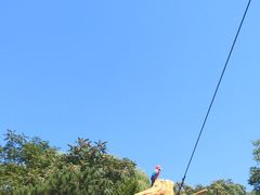 -石家庄市动物园