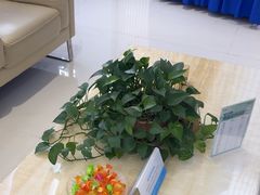 -泰康拜博口腔(世纪城店)