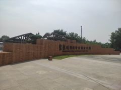 -盘龙城国家考古遗址公园