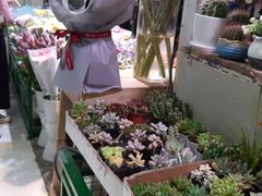 -三旗百汇商品城