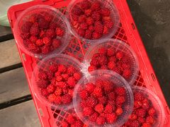 -帽儿山国家森林公园