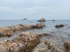 -养马岛旅游度假区