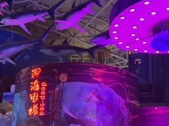 -烟台海昌鲸鲨海洋公园