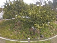 -白塘生态植物园