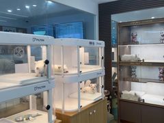 -翊宠yipet猫狗购宠庄园犬舍•猫舍