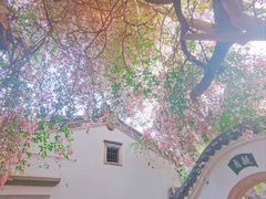 -深圳国际园林花卉博览园