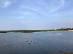 -北海金海湾红树林生态旅游区