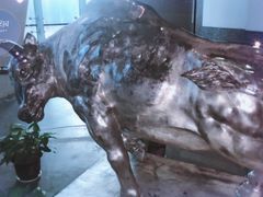 -菲拉拉漫温泉(东环路店)