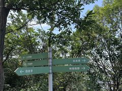 -午潮山国家森林公园