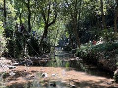 -灵隐飞来峰景区