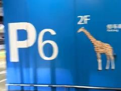 -虹桥综合交通枢纽-P6停车库