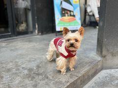 -Lostland交互式沉浸剧场