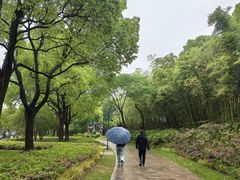 -新江湾城公园