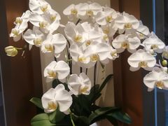 -Peet's Coffee皮爷咖啡(豫园店)