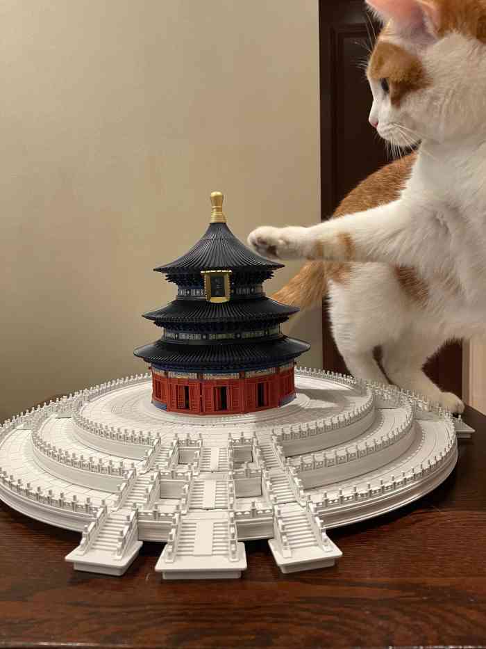 津门传奇沉浸式剧情体验(赤峰道店)-"[鬼脸]剧情: 不得不说 剧情真的