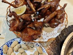 -一煲鸽