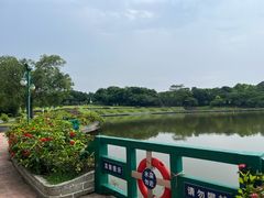 -东莞植物园