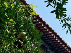 -北京颐和宾馆