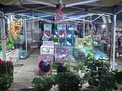 -中环花鸟鱼虫市场