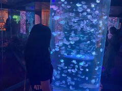 -杭州海底世界