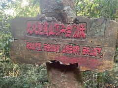 -霸王岭国家森林公园