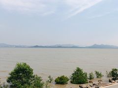 -深圳湾公园(南山区)