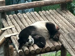 -大连森林动物园