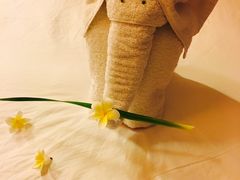-三亚亚龙湾雅高铂尔曼别墅度假酒店