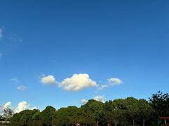 -新江湾城公园
