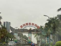 -深圳野生动物园