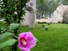 iphone_upload_pic-唐城墙遗址公园