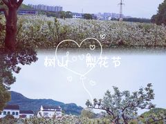 -树山生态村