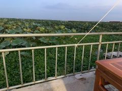 -渔娘蟹庄(阳澄湖莲花岛店)