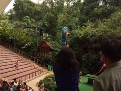 iphone_upload_pic-新加坡飞禽公园