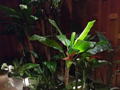 -紫莲花足道(柯桥古镇店)