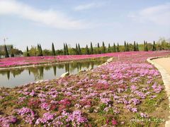 -兰陵国家农业公园