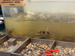 -金滏山烤肉·海鲜·火锅自助餐厅(襄阳万达店)