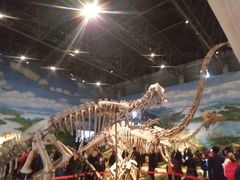 -自贡恐龙博物馆