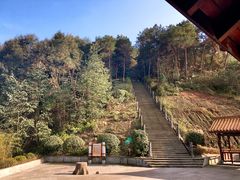 -铁山坪森林公园