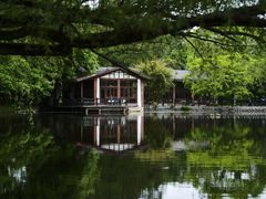 -上海共青森林公园