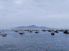 -幸福门