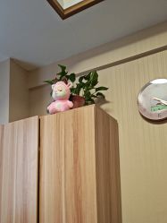 -Dr.林醫生产后修复·配方产康(南京江宁万达店)