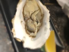 生蚝-正苑26年海鲜烤肉•牛尾汤汤饭(东港店)